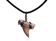 Otodus Shark Tooth Pendant - On Leather Cord